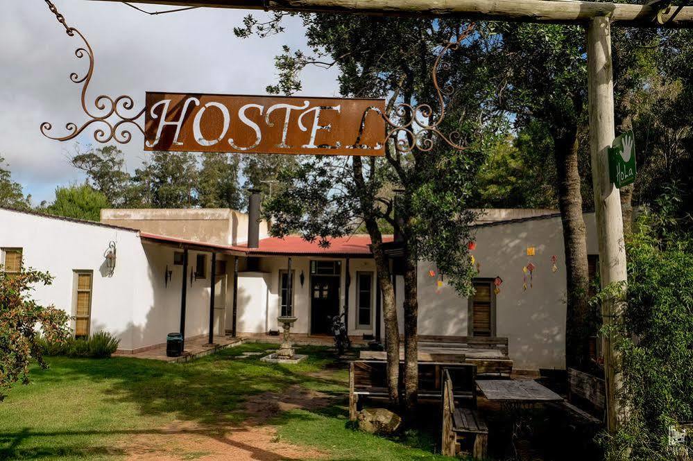 Hostel Punta Ballena Bar Punta del Este Exterior foto